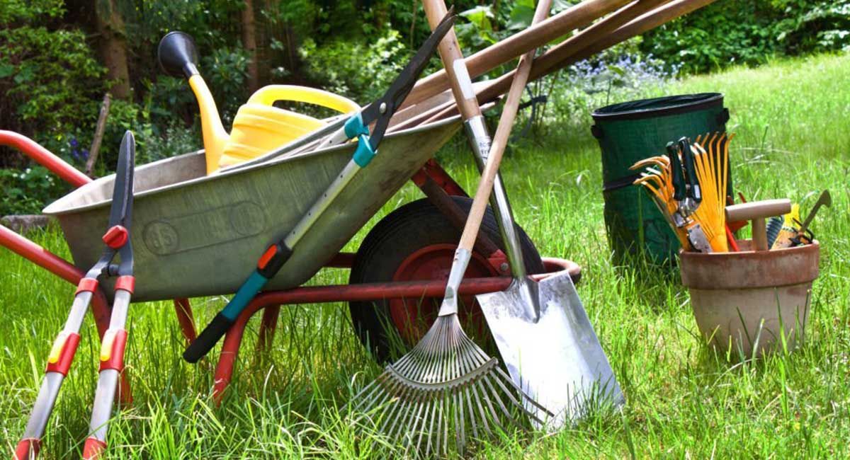 Herramientas Esenciales para el Huerto: Su Lista Completa de Básicos
