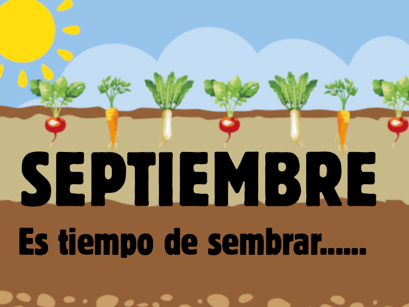 Calendario de siembra con cultivos estacionales