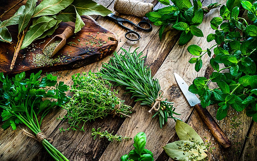Plantas beneficiosas para el huerto